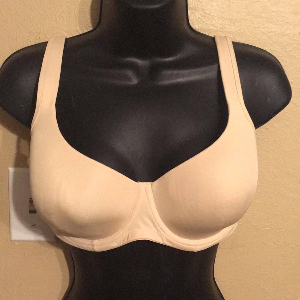36D bra